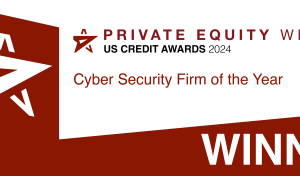 C security firm of the year